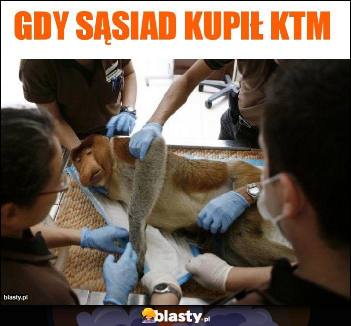 Gdy sąsiad kupił ktm Gdy sąsiad kupił ktm