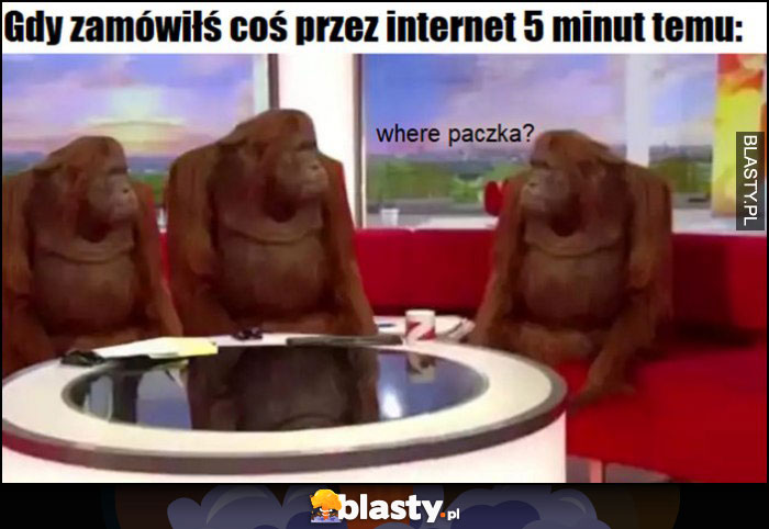 Gdy zamówiłeś coś przez internet 5 minut temu, where paczka małpy szympansy