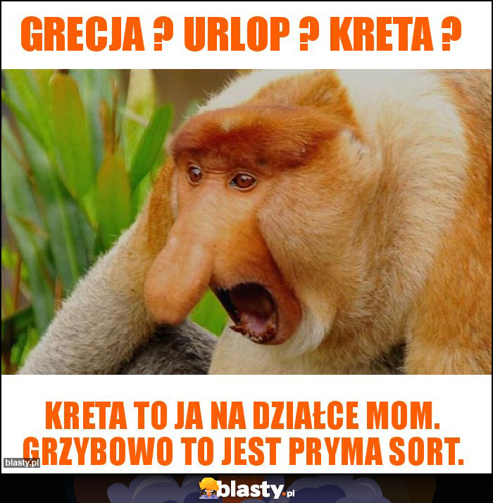 Grecja ? Urlop ? Kreta ? Grecja ? Urlop ? Kreta ?