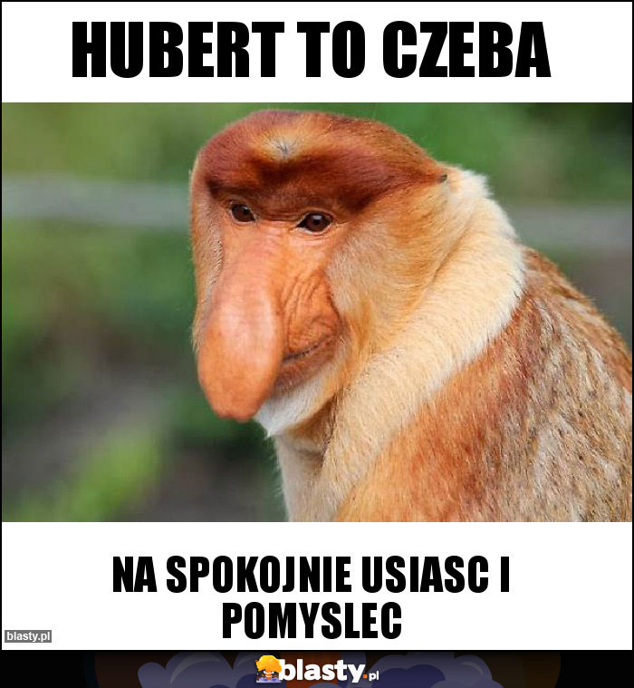 HUBERT TO CZEBA HUBERT TO CZEBA