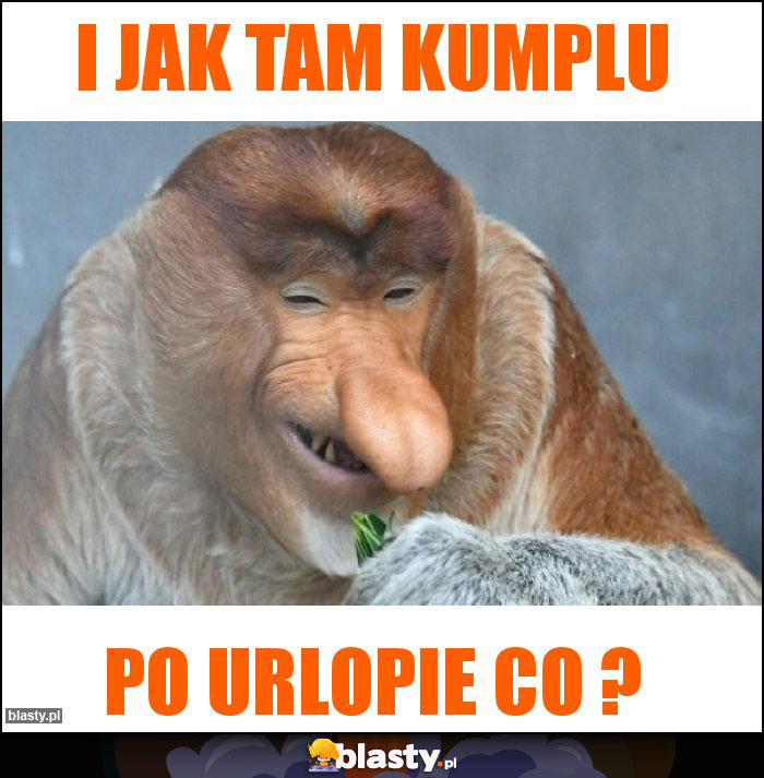 i jak tam kumplu i jak tam kumplu