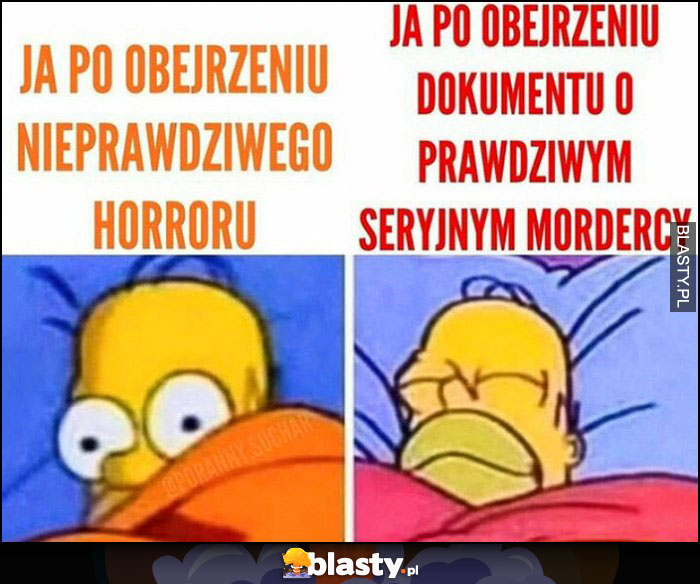 Ja po oberzeniu nieprawdziwego horroru vs ja po obejrzeniu dokumentu o prawdziwym seryjnym mordercy porównanie Homer Simpson