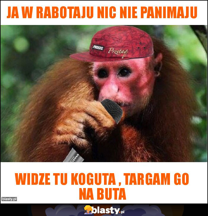 Ja w rabotaju nic nie panimaju Ja w rabotaju nic nie panimaju