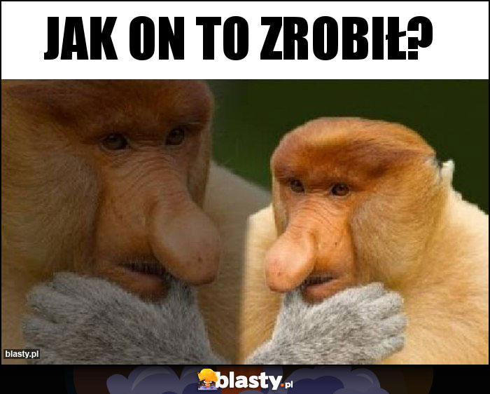 Jak on to zrobił? Jak on to zrobił?