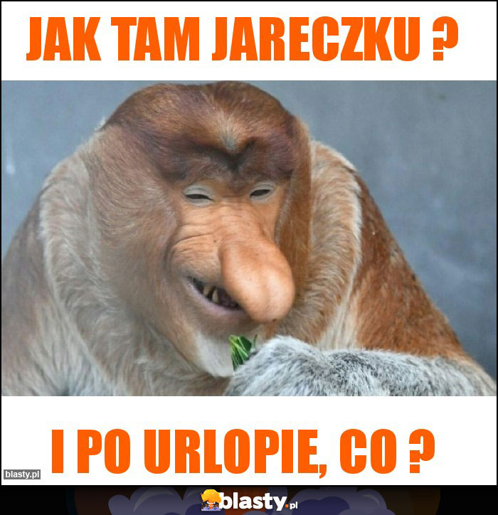 jak tam Jareczku ? jak tam Jareczku ?