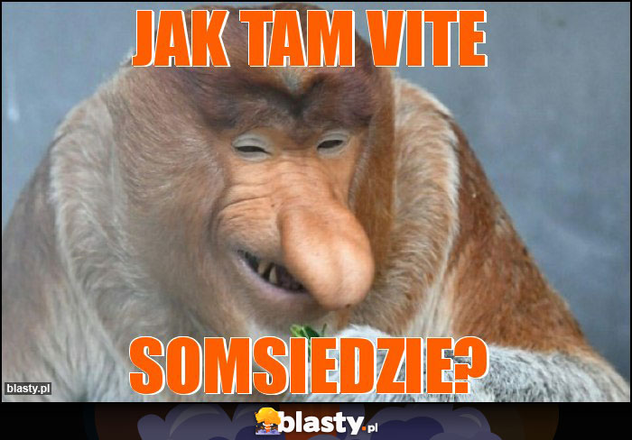 Jak tam Vite Jak tam Vite