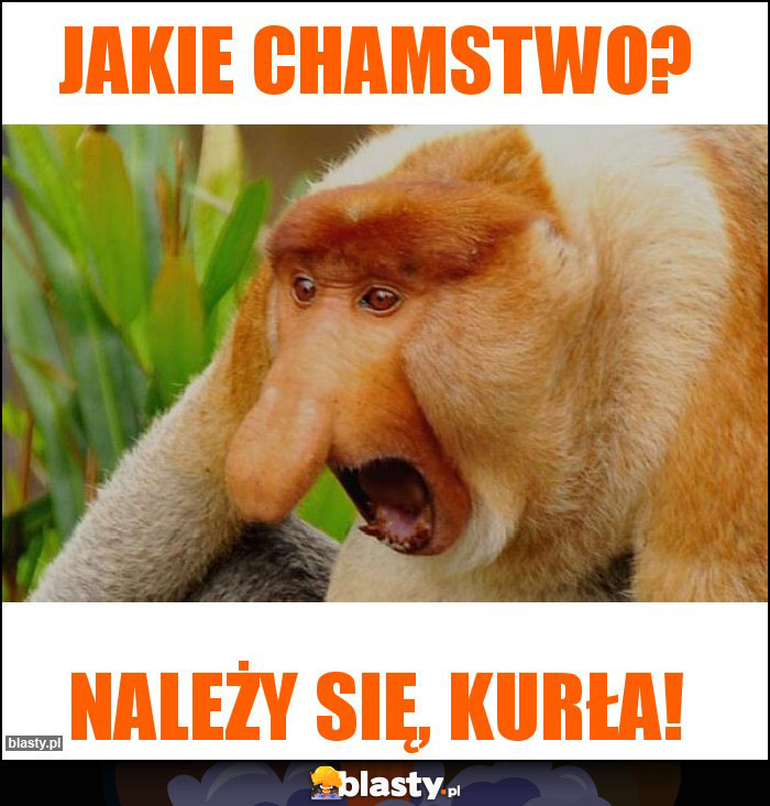Jakie Chamstwo? Jakie Chamstwo?