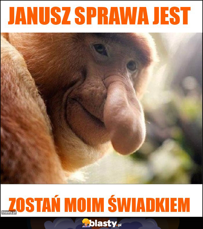 Janusz sprawa jest Janusz sprawa jest