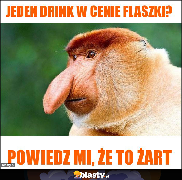 Jeden drink w cenie flaszki? Jeden drink w cenie flaszki?