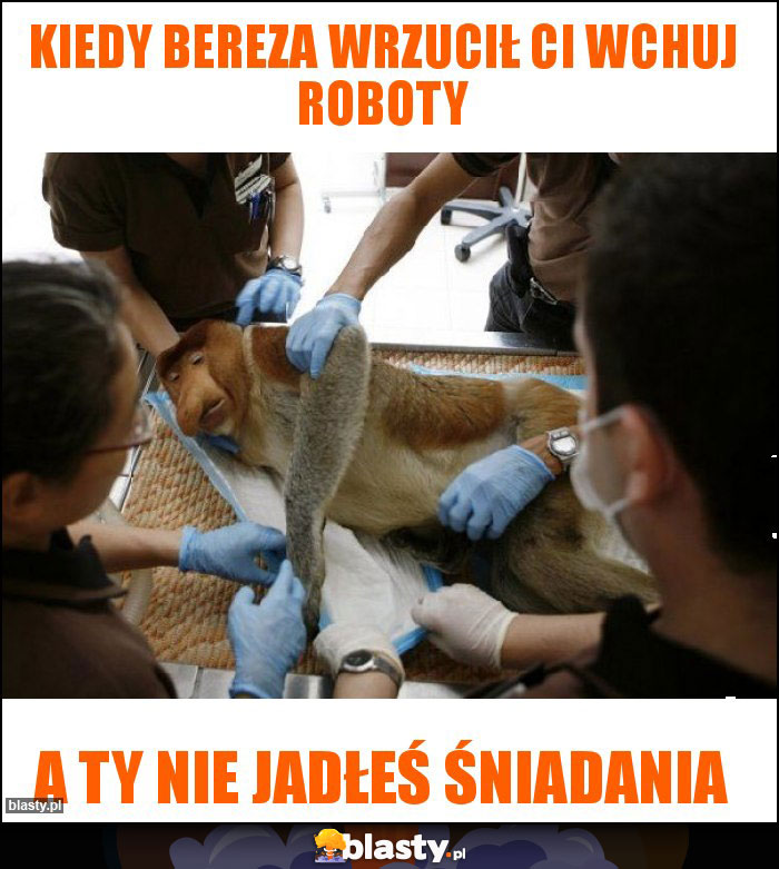 kiedy Bereza wrzucił Ci wchuj roboty kiedy Bereza wrzucił Ci wchuj roboty