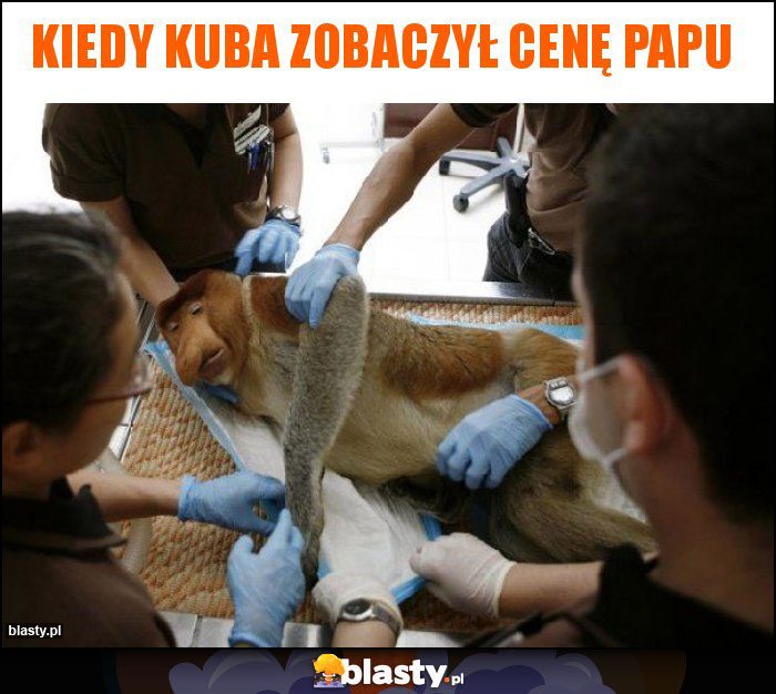 Kiedy Kuba zobaczył cenę papu