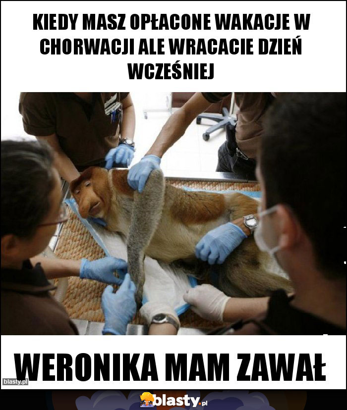 Kiedy masz opłacone wakacje w Chorwacji ale wracacie dzień wcześniej
