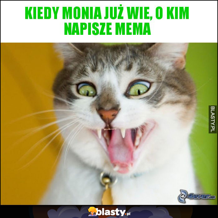 Kiedy Monia już wie, o kim napisze mema Kiedy Monia już wie, o kim napisze mema