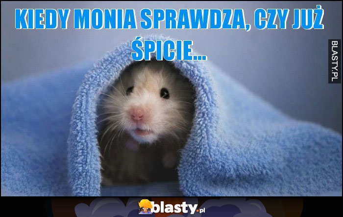 Kiedy Monia sprawdza, czy już śpicie...