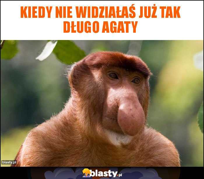 Kiedy nie widziałaś już tak długo Agaty Kiedy nie widziałaś już tak długo Agaty