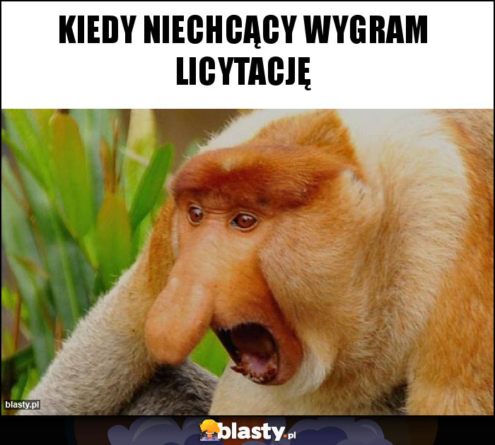 Kiedy niechcący wygram licytację Kiedy niechcący wygram licytację