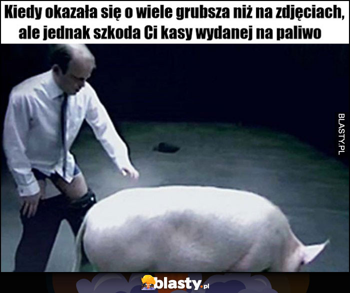 Kiedy okazała się o wiele grubsza niż na zdjęciach ale jednak szkoda Ci kasy wydanej na paliwo facet świnia prosiak