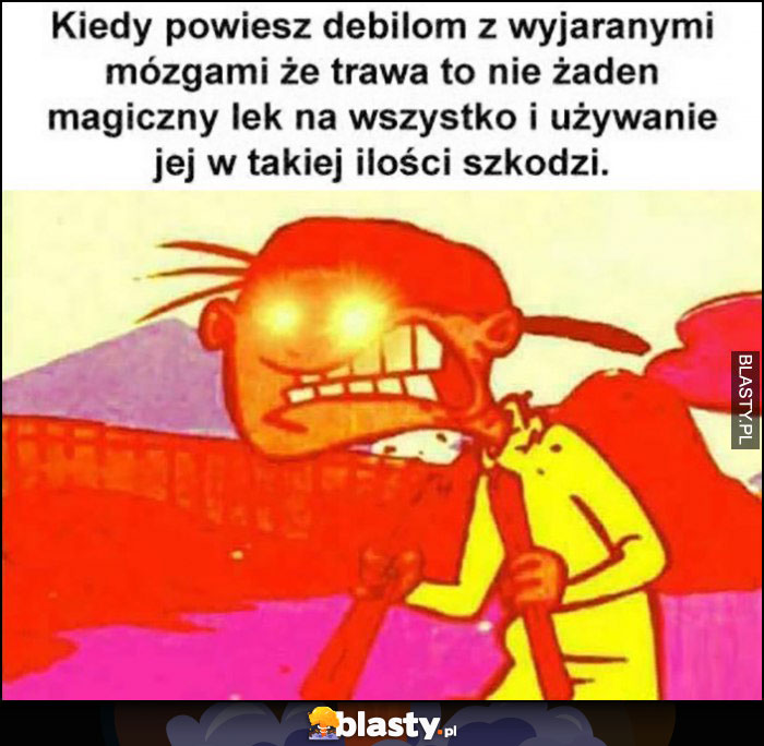 Kiedy powiesz debilom z wyjaranymi mózgami, że trawa to nie żaden magiczny lek na wszystko i używanie jej w takiej ilości szkodzi