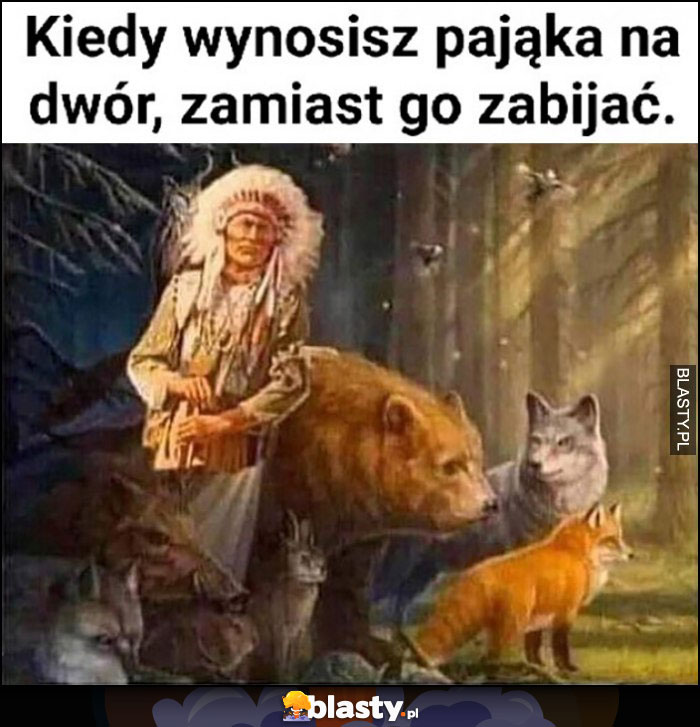 Kiedy wynosisz pająka na dwór zamiast go zabijać indianin