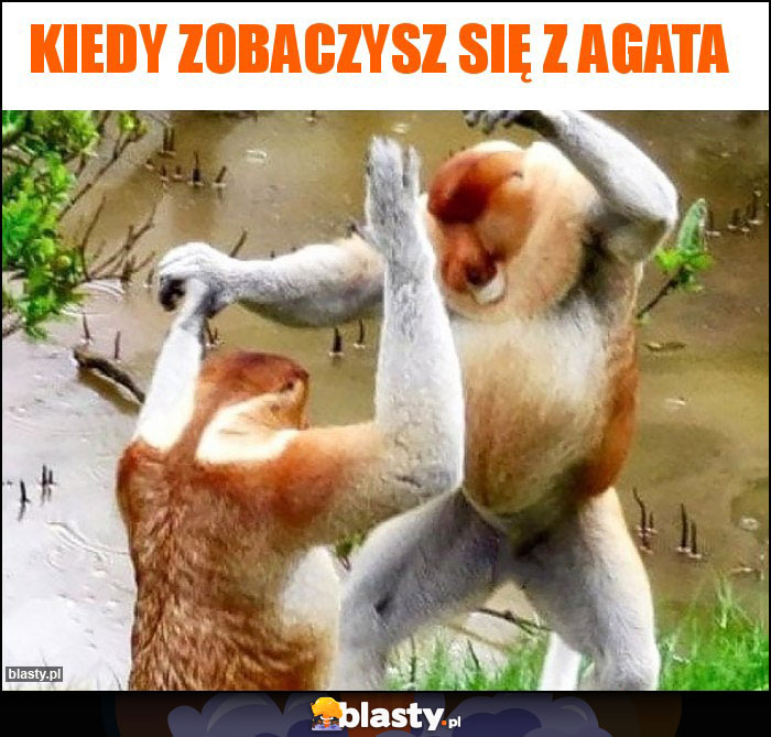 Kiedy zobaczysz się z Agata Kiedy zobaczysz się z Agata