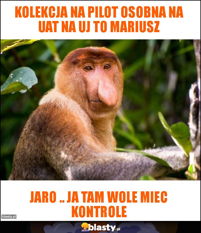 KOLEKCJA NA PILOT OSOBNA NA UAT NA UJ TO MARIUSZ KOLEKCJA NA PILOT OSOBNA NA UAT NA UJ TO MARIUSZ