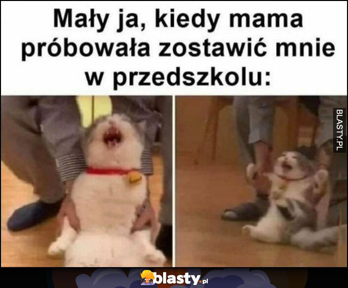 Kot płacze krzyczy, mały ja kiedy mama próbowała zostawić mnie w przedszkolu