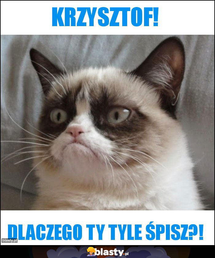 Krzysztof! Krzysztof!