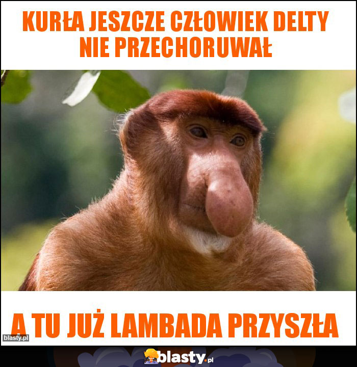 Kurła jeszcze człowiek Delty nie przechoruwał Kurła jeszcze człowiek Delty nie przechoruwał