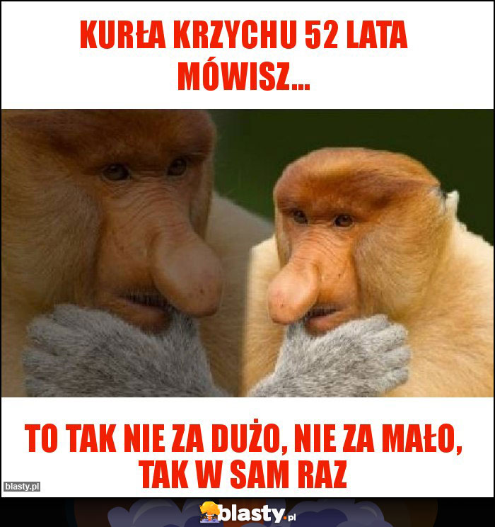 Kurła Krzychu 52 lata mówisz... Kurła Krzychu 52 lata mówisz...