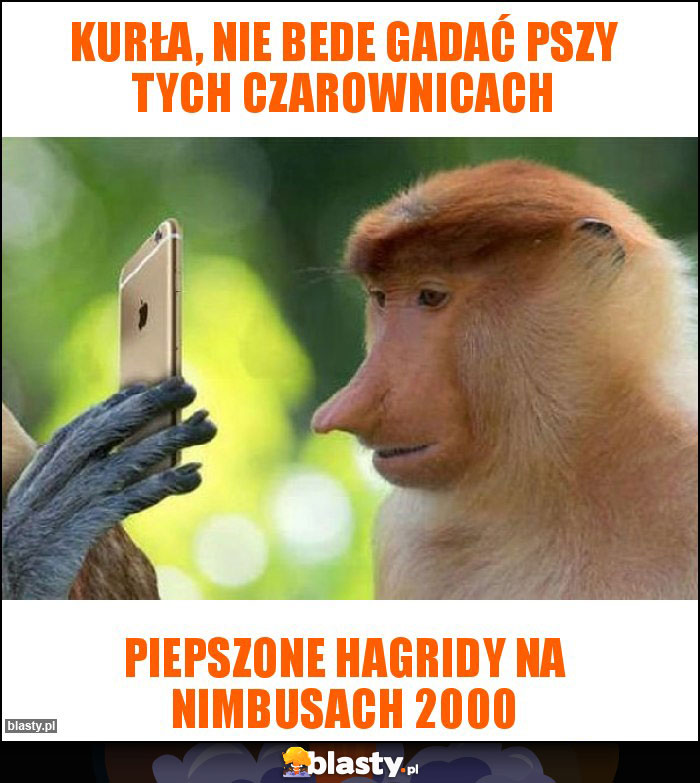 Kurła, nie bede gadać pszy tych czarownicach Kurła, nie bede gadać pszy tych czarownicach