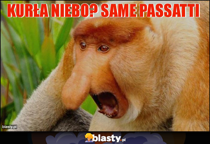 Kurła niebo? Same passatti Kurła niebo? Same passatti
