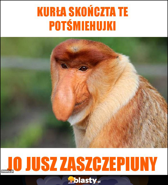 Kurła skończta te potśmiehujki Kurła skończta te potśmiehujki
