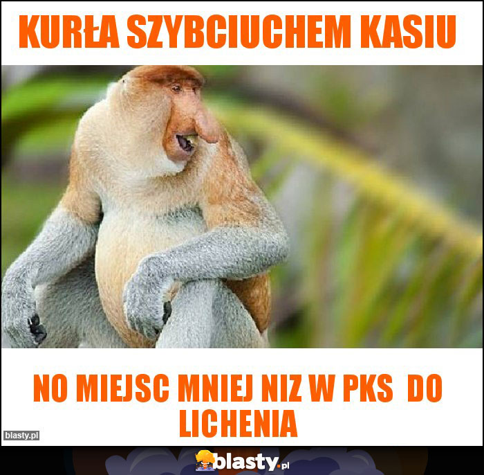 Kurła szybciuchem Kasiu Kurła szybciuchem Kasiu