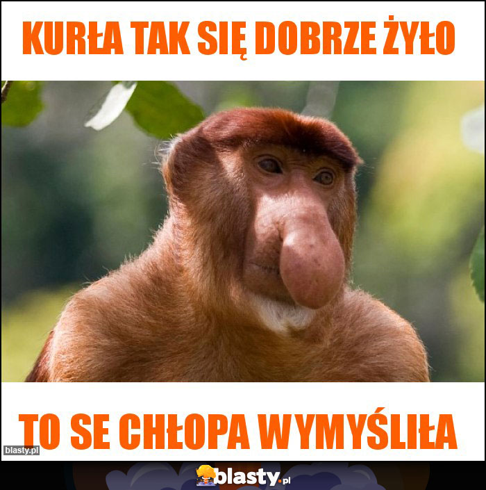 Kurła tak się dobrze żyło Kurła tak się dobrze żyło