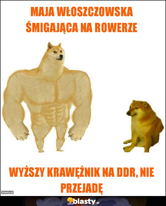 Maja Włoszczowska śmigająca na rowerze Maja Włoszczowska śmigająca na rowerze