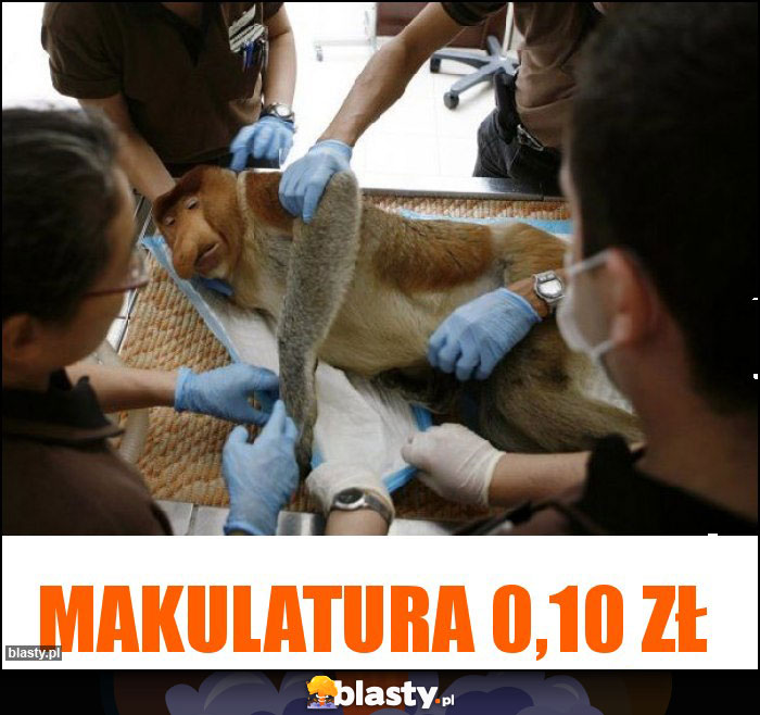 MAKULATURA 0,10 ZŁ MAKULATURA 0,10 ZŁ