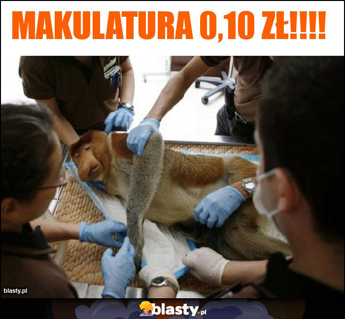 MAKULATURA 0,10 ZŁ!!!! MAKULATURA 0,10 ZŁ!!!!