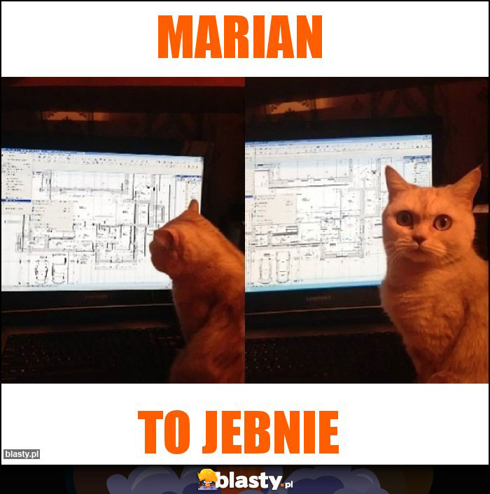 Marian