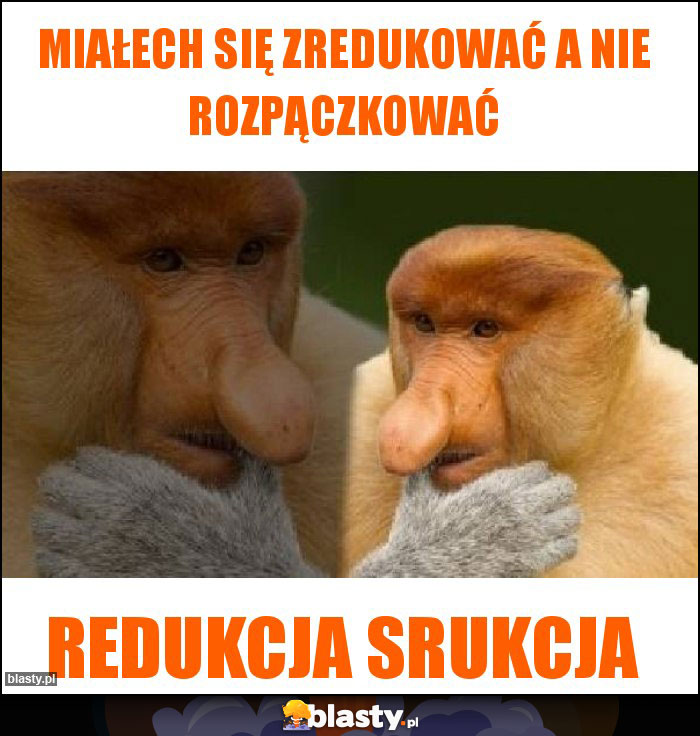 MIAŁECH SIĘ ZREDUKOWAĆ A NIE ROZPĄCZKOWAĆ MIAŁECH SIĘ ZREDUKOWAĆ A NIE ROZPĄCZKOWAĆ