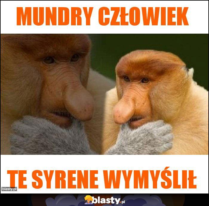 Mundry człowiek Mundry człowiek