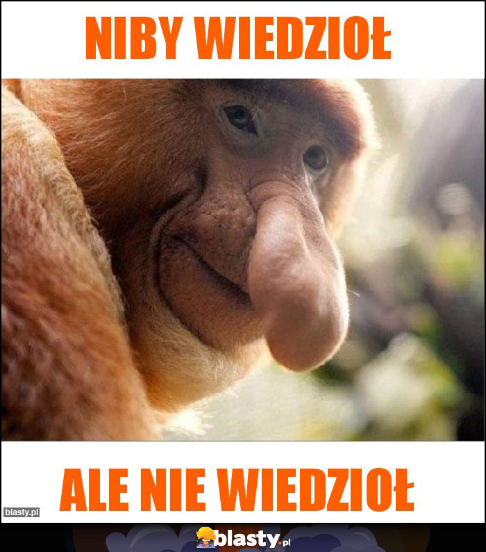 Niby wiedzioł Niby wiedzioł