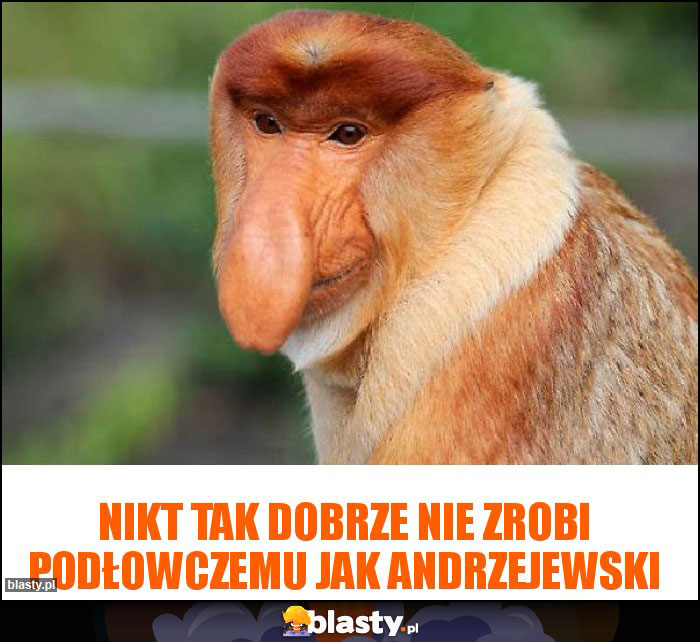 Nikt tak dobrze nie zrobi podłowczemu jak Andrzejewski