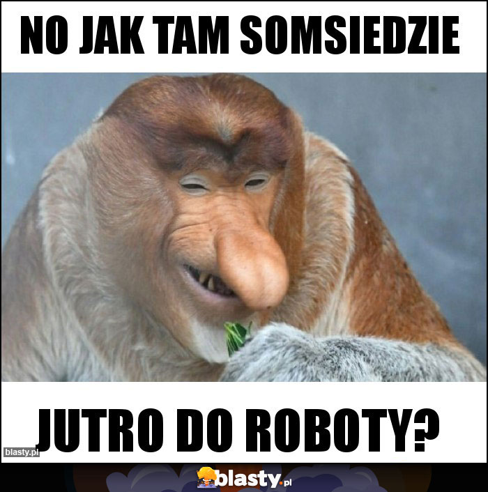 No jak tam somsiedzie No jak tam somsiedzie