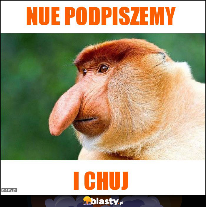 Nue podpiszemy Nue podpiszemy