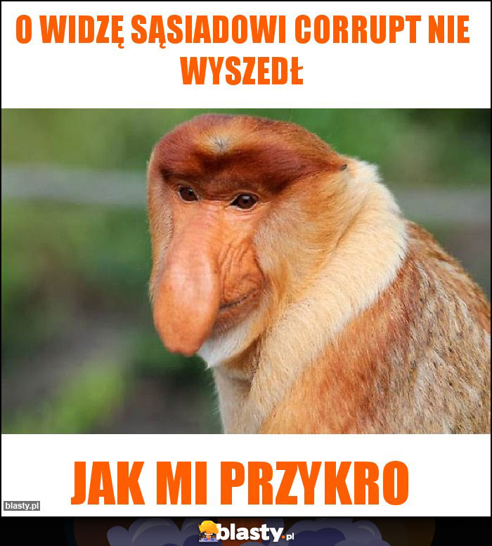 O widzę sąsiadowi corrupt nie wyszedł O widzę sąsiadowi corrupt nie wyszedł