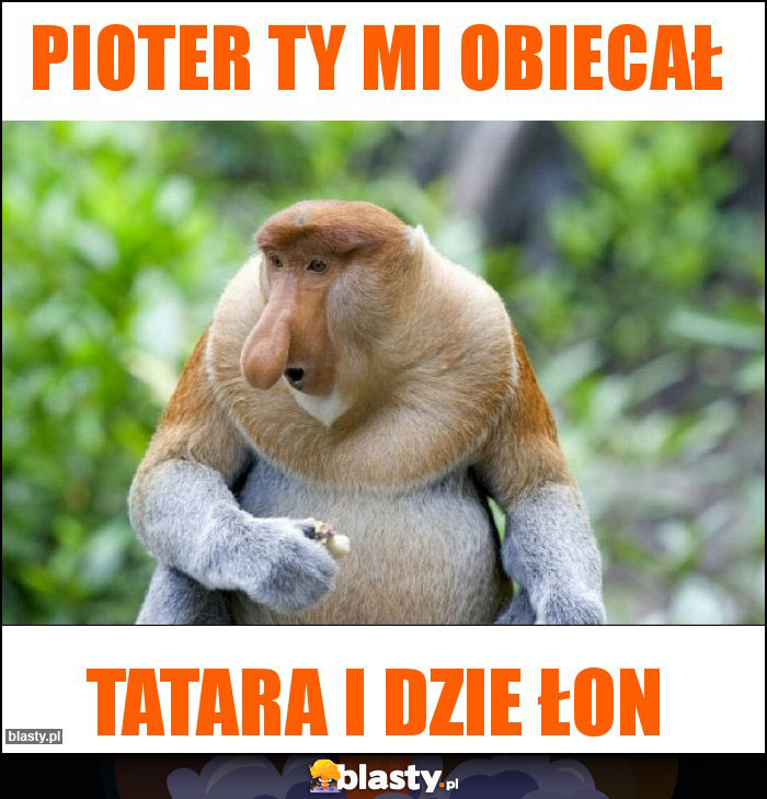 Pioter ty mi obiecał Pioter ty mi obiecał