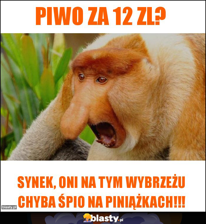 Piwo za 12 zl? Piwo za 12 zl?