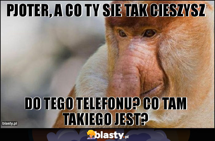 pjoter, a co ty sie tak cieszysz pjoter, a co ty sie tak cieszysz