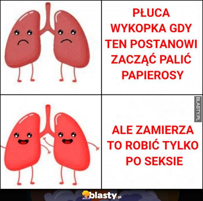 Płuca gdy wykopek postanowi zacząć palić papierosy smutne vs ale zamierza to robić tylko po seksie wesołe