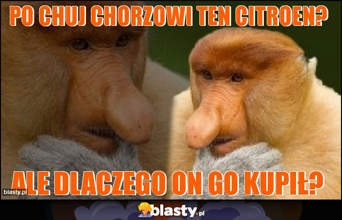 Po chuj Chorzowi ten Citroen?